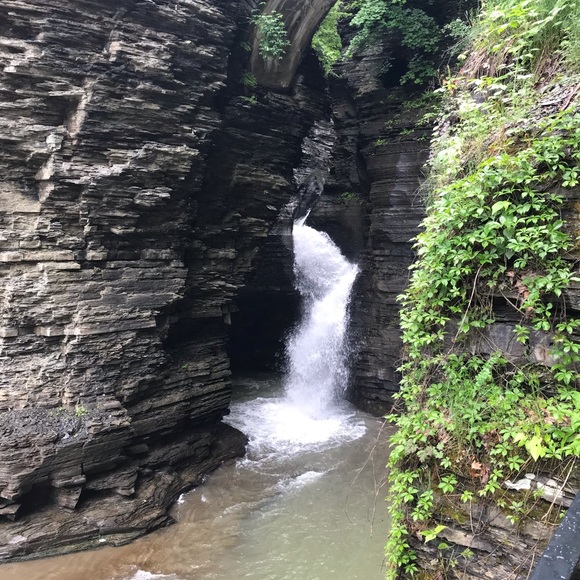 Meet your Posher, Dana - Picture 1 of 4